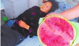 吃瓜恶心呕吐,揭秘背后的健康隐患