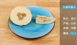 吃绿蜜瓜,甜蜜滋味，健康生活新选择