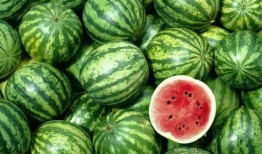 西瓜视频延津吃瓜