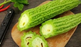 广东人吃的毛瓜是什么瓜,揭秘其独特风味与食用文化
