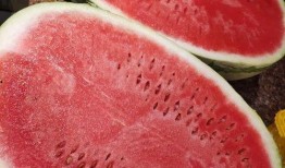 吃瓜不要钱有什么好处,揭秘免费瓜子的五大益处