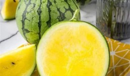 黄皮损瓜怎么吃,营养美味两不误的食用指南