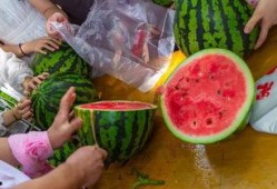 范椰吃瓜,揭秘娱乐圈幕后故事