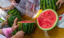 范椰吃瓜,揭秘娱乐圈幕后故事