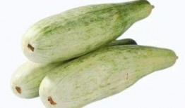 吃绿蜜瓜,甜蜜滋味，健康生活新选择