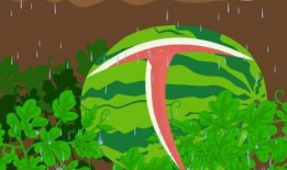 吃瓜喷水,揭秘网络舆论场的趣味与争议