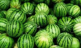 庄河吃瓜的故事