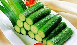 寒瓜发芽可以吃不,意外收获的绿色美食之旅