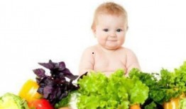 婴儿白瓜可以吃吗,适宜添加的辅食选择