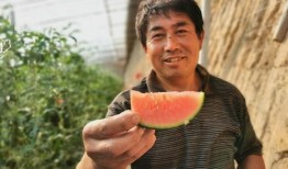 杨盈吃瓜群众,吃瓜群众的视角，揭秘娱乐圈风云