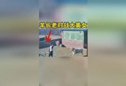 羊圈吃瓜,一场别开生面的乡村盛宴