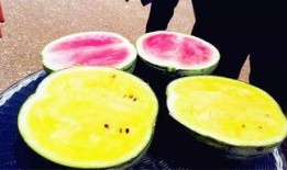 濮阳医专吃瓜爆料