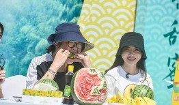 抖音表演吃瓜,趣味横生的瓜界狂欢