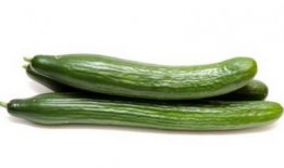 刘大瓜吃黄瓜,一场味蕾的狂欢之旅