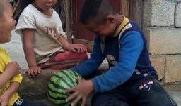 兄妹瓜吃瓜,一场欢乐的夏日瓜果盛宴