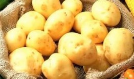 吃瓜吃酱,解锁夏日美食新风尚