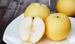 孕妇吃白兰瓜好吗,孕妇食用白兰瓜的利与弊