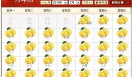 吃瓜月历,盘点年度热门事件，揭秘娱乐圈风云变幻