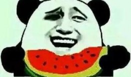 吃瓜集合了,揭秘网络热议背后的真相与趣味