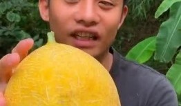 吉林小伙吃瓜,揭秘东北特色美食背后的故事