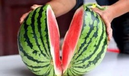 神木楚钰吃瓜,揭秘娱乐圈背后的秘密