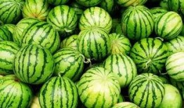 91吃瓜中心吃最火的瓜体育老师,揭秘校园风云瓜