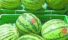 武汉最美dj吃瓜,揭秘幕后真相与网络热议