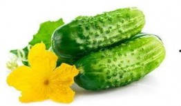 分享最近吃的瓜,明星们的甜蜜瓜料大揭秘！