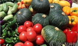 生物瓜怎么吃,探索生物瓜的多彩食用方式