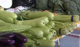 吃瓜中毒的父子,一场意外的健康警示之旅