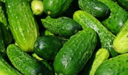 带你吃瓜第20集,揭秘幕后真相，热点事件深度解析