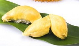 胃感冒吃角瓜,天然食疗新选择