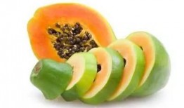 中山中专吃瓜号,吃瓜号带你探秘校园风云