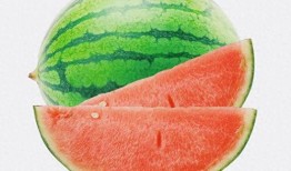 寒瓜发芽可以吃不,意外收获的绿色美食之旅