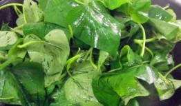 土瓜叶子怎么吃,家常美味的多重吃法探索