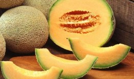 鱼儿吃哈密瓜好吗怎么吃,探索最佳食用方法