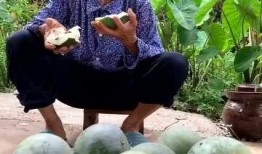 天气热吃瓜很甜,瓜果飘香——探寻热天吃瓜的甜蜜奥秘