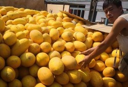 额旗吃瓜,揭秘当地特色美食背后的故事