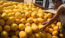 额旗吃瓜,揭秘当地特色美食背后的故事