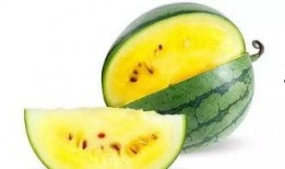 地角瓜怎么吃最好吃,解锁最佳口感之道