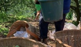 额旗吃瓜,揭秘当地特色美食背后的故事