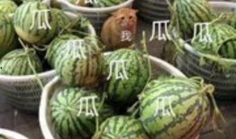 年终吃大瓜,盘点娱乐圈年度大瓜，揭秘明星幕后故事