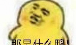 吃瓜表情包经典,揭秘经典吃瓜表情包背后的趣味故事