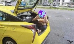 沉浸式车上吃瓜,车内吃瓜，畅享夏日清凉时光