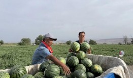 吃瓜益阳师范,吃瓜群众视角下的益阳师范生活剪影