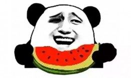 吃瓜LY,LY的吃瓜人生