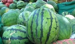 吃瓜看瓢,揭秘娱乐圈背后的故事