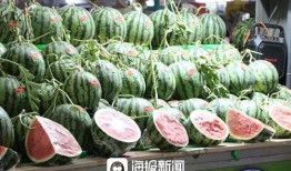 吉哥 吃瓜,揭秘娱乐圈那些不为人知的幕后故事