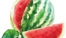 熹太妃吃瓜,宫廷秘闻背后的吃瓜日常