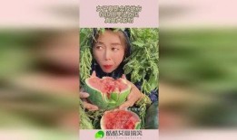 瓜田吃瓜剧情,一场意外的甜蜜邂逅